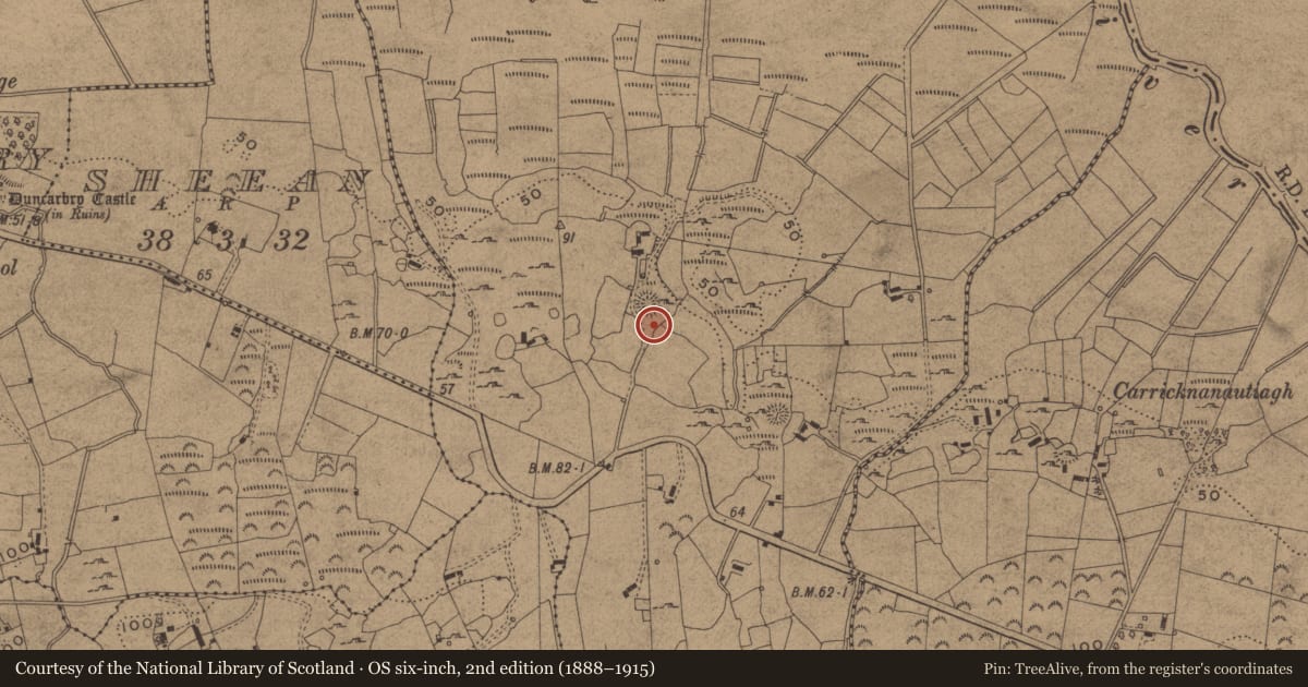 Ordnance Survey six-inch map, 2nd edition (1888–1915) covering the location of Ringfort - cashel, Doobally, County Leitrim, with a pin at the register's coordinates