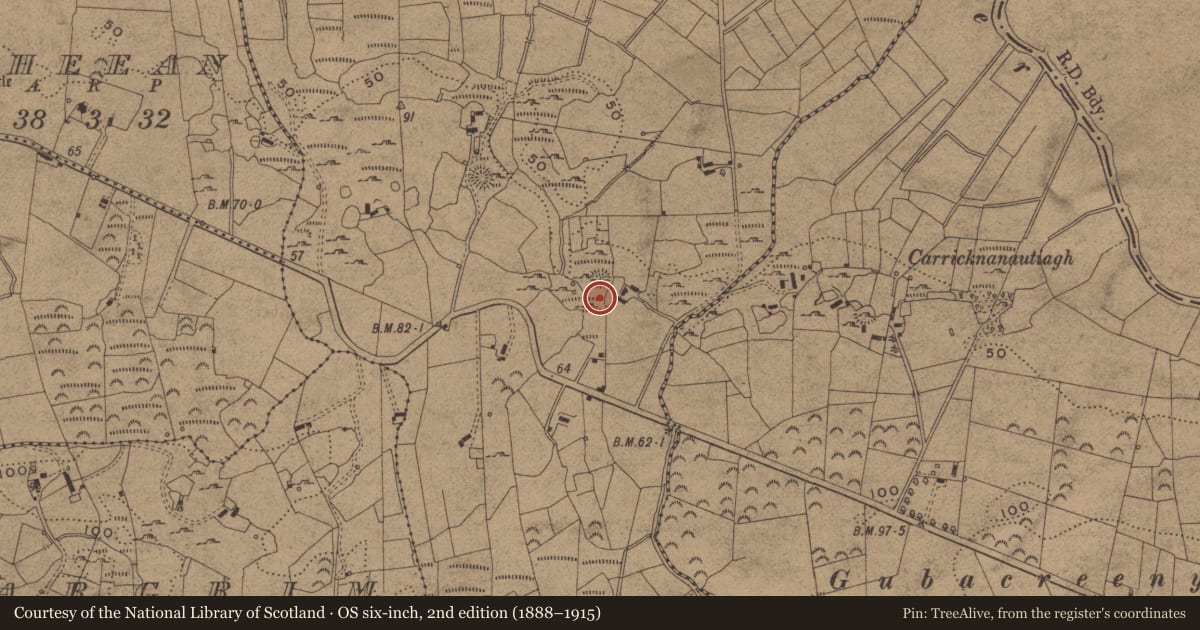 Ordnance Survey six-inch map, 2nd edition (1888–1915) covering the location of Ringfort - cashel, Doobally, County Leitrim, with a pin at the register's coordinates