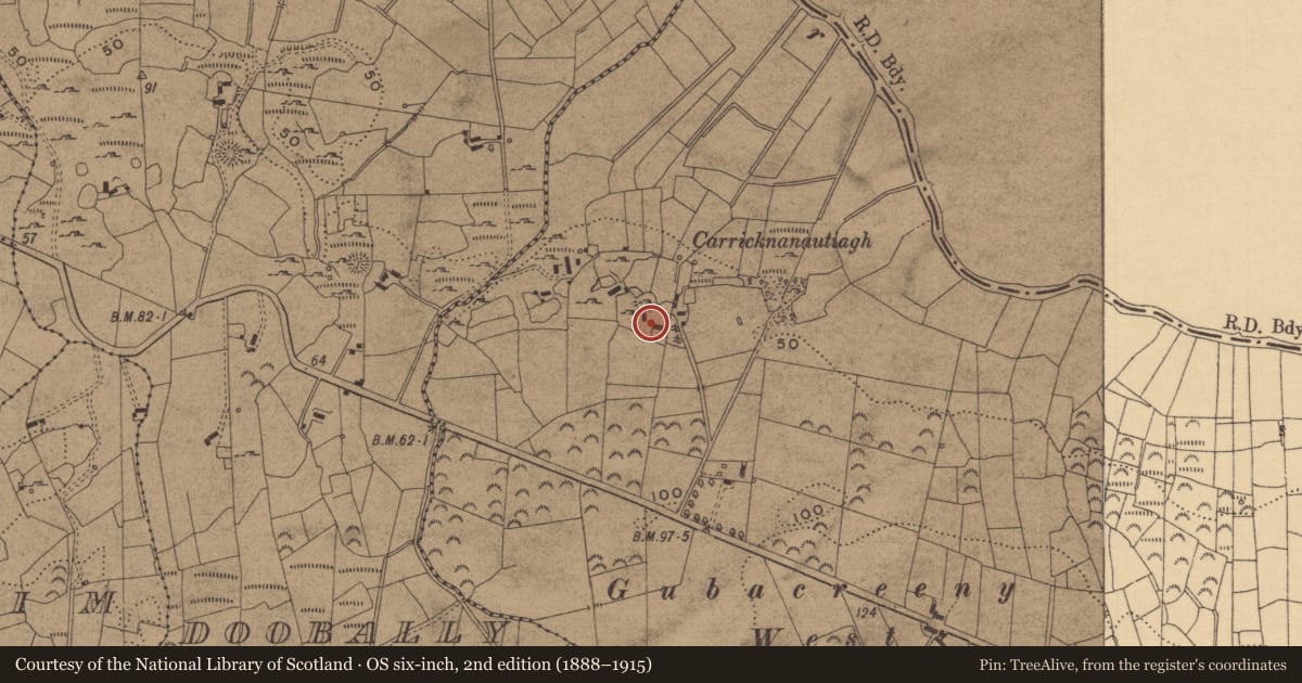 Ordnance Survey six-inch map, 2nd edition (1888–1915) covering the location of Ringfort - cashel, Gubacreeny, County Leitrim, with a pin at the register's coordinates