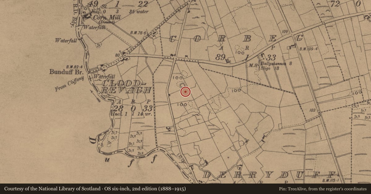 Ordnance Survey six-inch map, 2nd edition (1888–1915) covering the location of Ringfort - rath, Derryduff, County Leitrim, with a pin at the register's coordinates