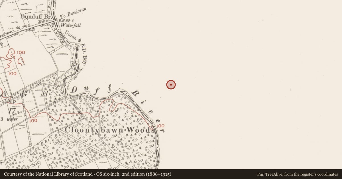 Ordnance Survey six-inch map, 2nd edition (1888–1915) covering the location of Ringfort - rath, Derryduff, County Leitrim, with a pin at the register's coordinates