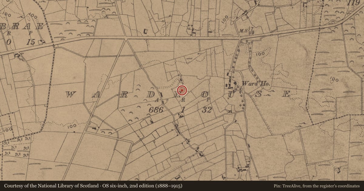 Ordnance Survey six-inch map, 2nd edition (1888–1915) covering the location of Ringfort - cashel, Wardhouse, County Leitrim, with a pin at the register's coordinates