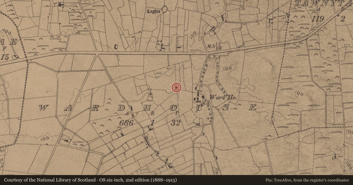 Ordnance Survey six-inch map, 2nd edition (1888–1915) covering the location of Standing stone, Wardhouse, County Leitrim, with a pin at the register's coordinates
