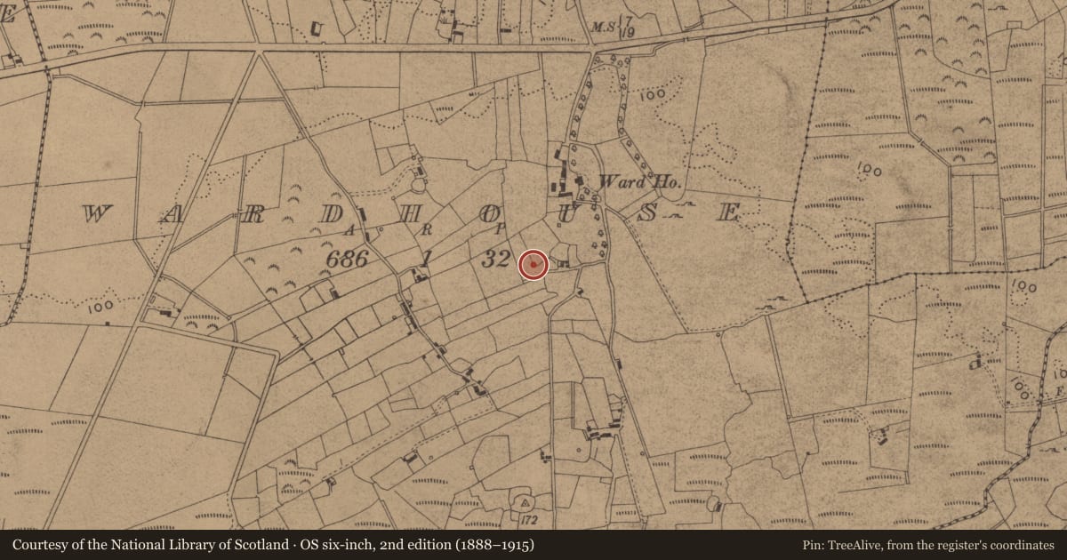 Ordnance Survey six-inch map, 2nd edition (1888–1915) covering the location of Standing stone, Wardhouse, County Leitrim, with a pin at the register's coordinates