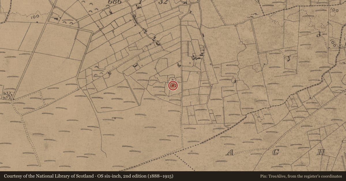Ordnance Survey six-inch map, 2nd edition (1888–1915) covering the location of Ringfort - cashel, Wardhouse, County Leitrim, with a pin at the register's coordinates