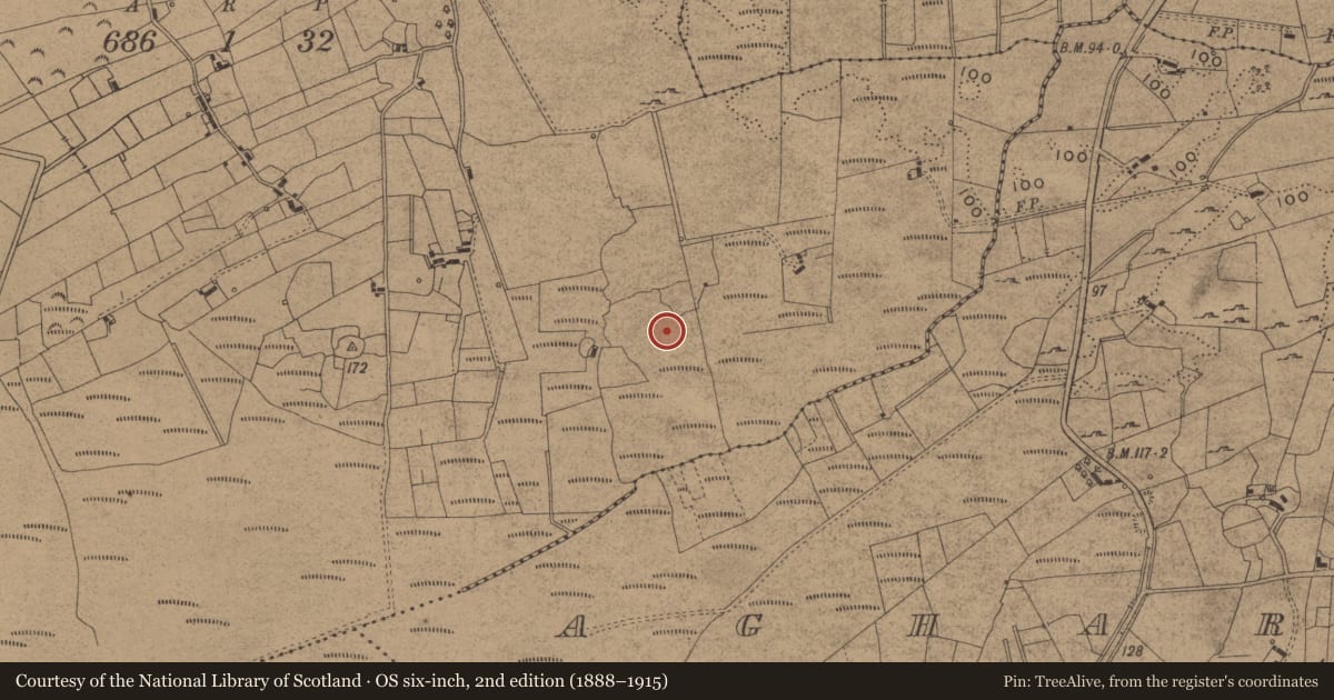 Ordnance Survey six-inch map, 2nd edition (1888–1915) covering the location of Ringfort - cashel, Wardhouse, County Leitrim, with a pin at the register's coordinates