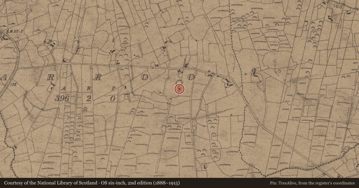 Ordnance Survey six-inch map, 2nd edition (1888–1915) covering the location of Souterrain, Agharroo, County Leitrim, with a pin at the register's coordinates