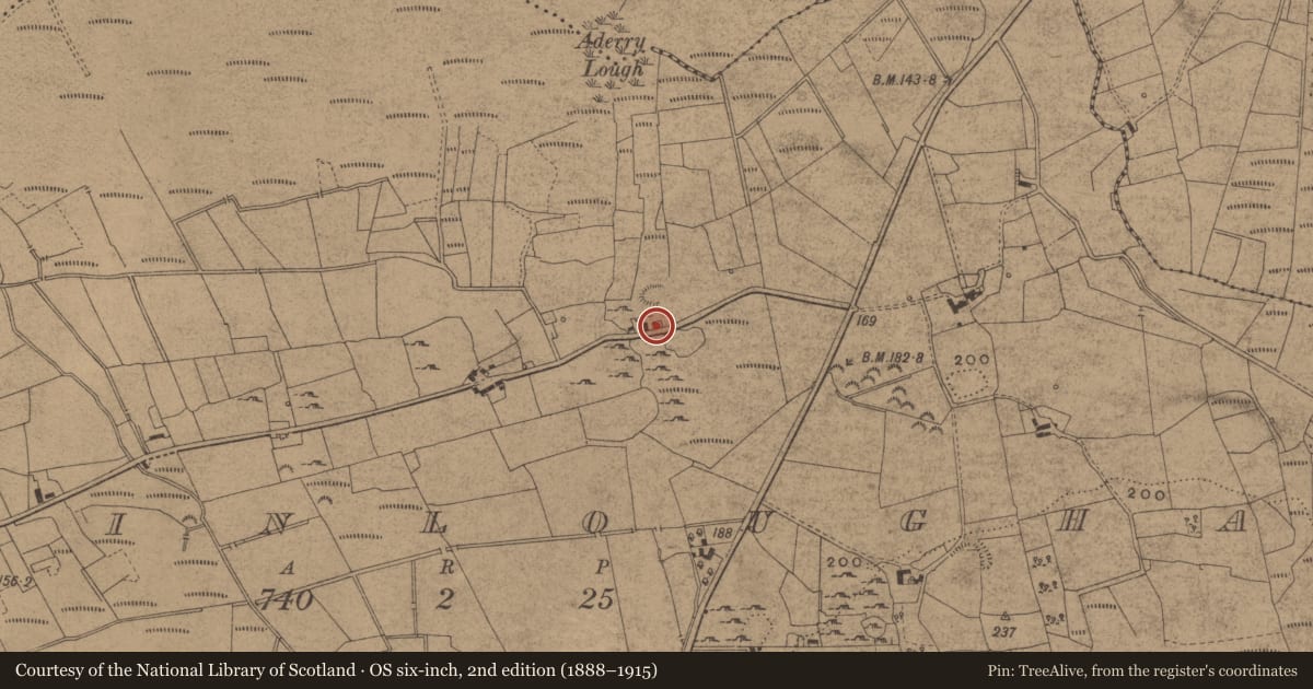 Ordnance Survey six-inch map, 2nd edition (1888–1915) covering the location of Ringfort - rath, Derrinloughan, County Leitrim, with a pin at the register's coordinates