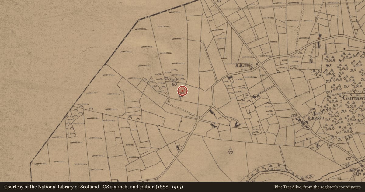Ordnance Survey six-inch map, 2nd edition (1888–1915) covering the location of Enclosure, Tawly, County Leitrim, with a pin at the register's coordinates