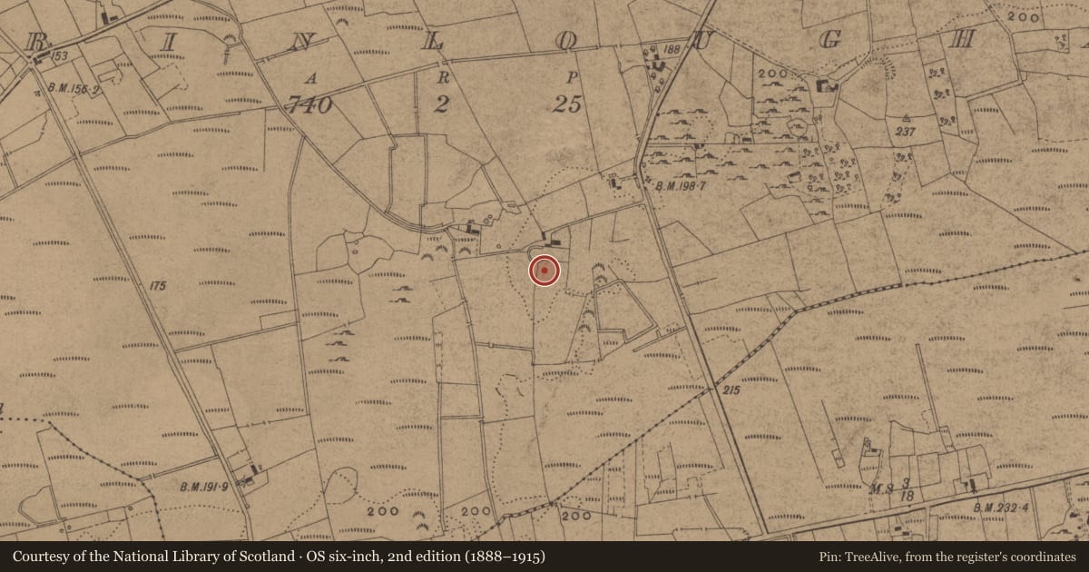 Ordnance Survey six-inch map, 2nd edition (1888–1915) covering the location of Ringfort - cashel, Derrinloughan, County Leitrim, with a pin at the register's coordinates