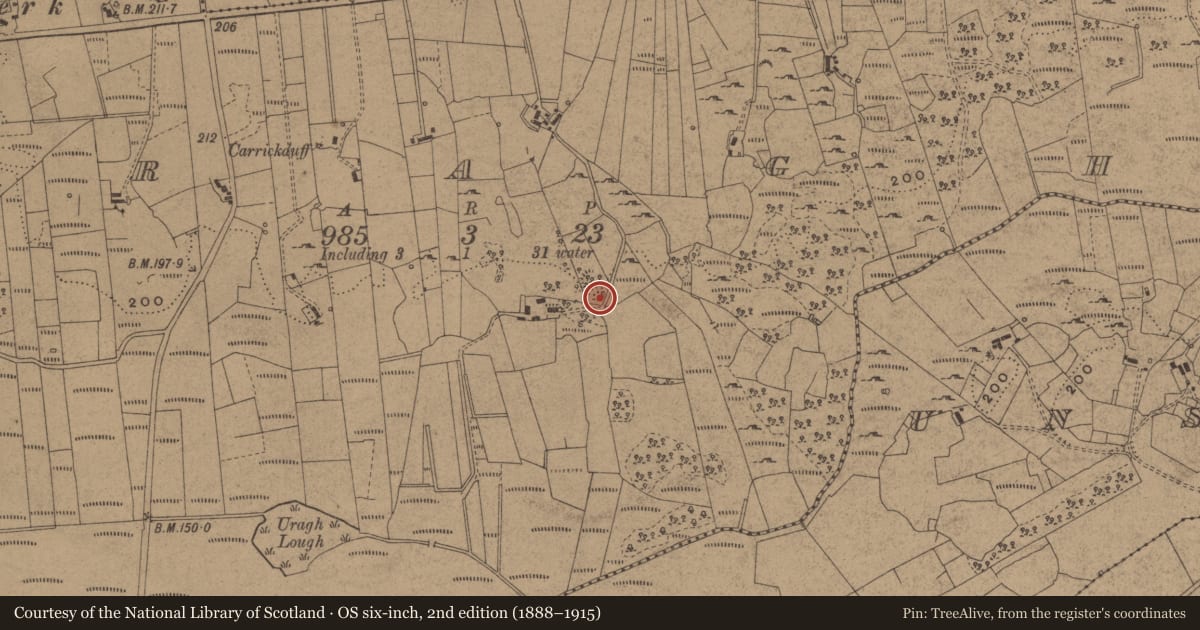 Ordnance Survey six-inch map, 2nd edition (1888–1915) covering the location of Ringfort - cashel, Uragh, County Leitrim, with a pin at the register's coordinates