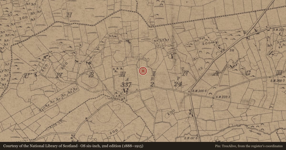 Ordnance Survey six-inch map, 2nd edition (1888–1915) covering the location of Children's burial ground, Unshinagh, County Leitrim, with a pin at the register's coordinates