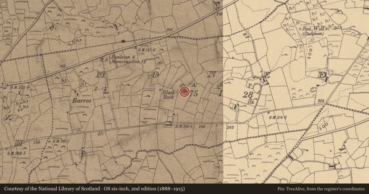 Ordnance Survey six-inch map, 2nd edition (1888–1915) covering the location of Ringfort - cashel, Moneen, County Leitrim, with a pin at the register's coordinates