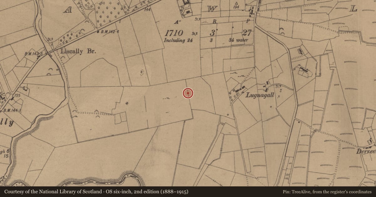 Ordnance Survey six-inch map, 2nd edition (1888–1915) covering the location of Enclosure, Tawly, County Leitrim, with a pin at the register's coordinates