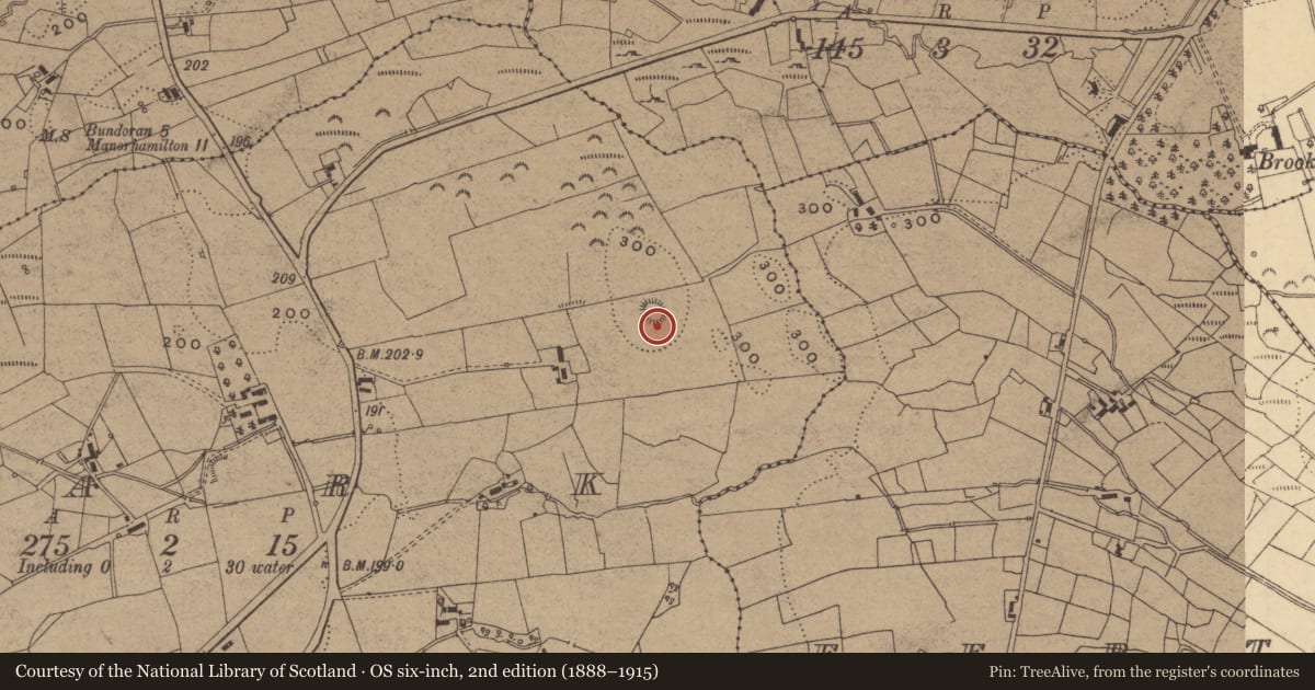 Ordnance Survey six-inch map, 2nd edition (1888–1915) covering the location of Ringfort - cashel, Park, County Leitrim, with a pin at the register's coordinates