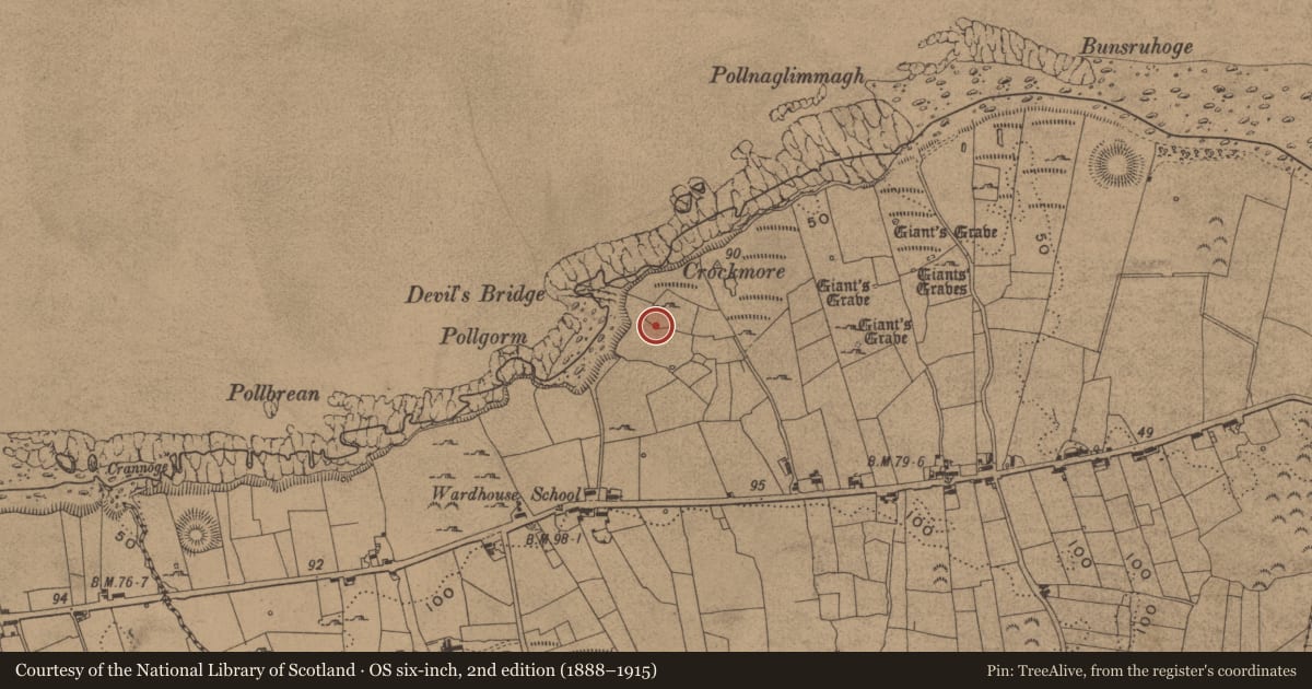 Ordnance Survey six-inch map, 2nd edition (1888–1915) covering the location of Megalithic structure, Wardhouse, County Leitrim, with a pin at the register's coordinates