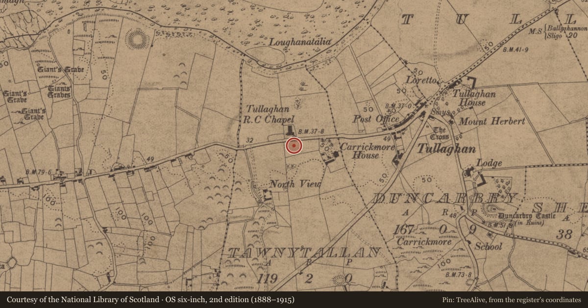 Ordnance Survey six-inch map, 2nd edition (1888–1915) covering the location of Bullaun stone (present location), Tawnytallan, County Leitrim, with a pin at the register's coordinates