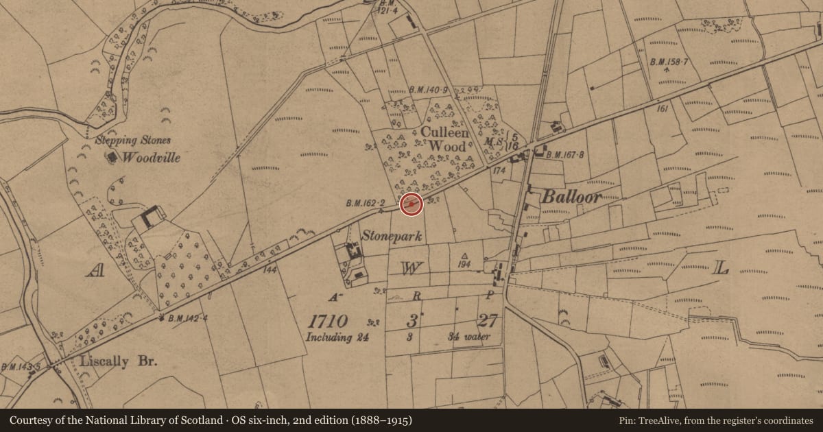 Ordnance Survey six-inch map, 2nd edition (1888–1915) covering the location of Mass-rock, Tawly, County Leitrim, with a pin at the register's coordinates