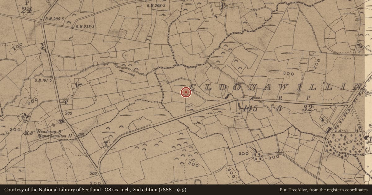 Ordnance Survey six-inch map, 2nd edition (1888–1915) covering the location of Mass-rock, Cloonawillin, County Leitrim, with a pin at the register's coordinates