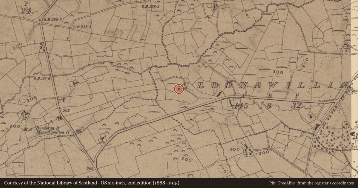 Ordnance Survey six-inch map, 2nd edition (1888–1915) covering the location of Cross-inscribed stone, Cloonawillin, County Leitrim, with a pin at the register's coordinates