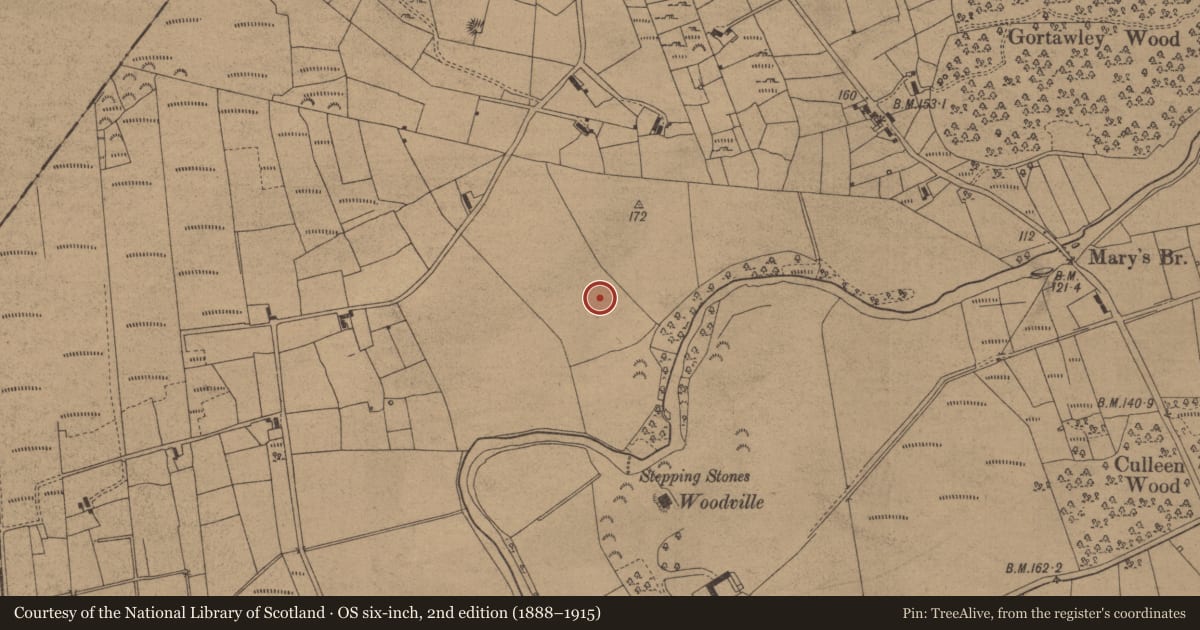 Ordnance Survey six-inch map, 2nd edition (1888–1915) covering the location of Ringfort - rath, Tawly, County Leitrim, with a pin at the register's coordinates