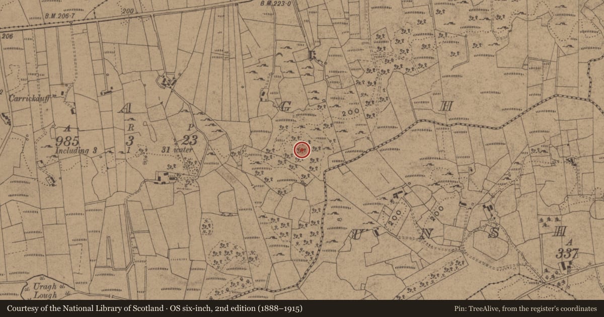 Ordnance Survey six-inch map, 2nd edition (1888–1915) covering the location of Mass-rock, Uragh, County Leitrim, with a pin at the register's coordinates