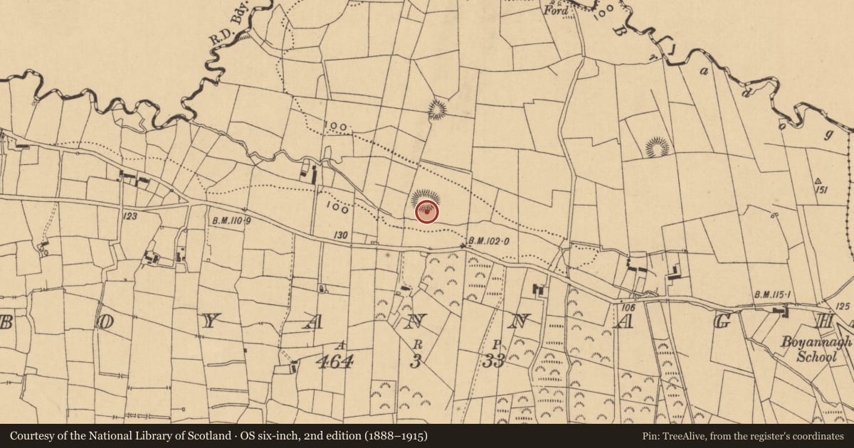 Ordnance Survey six-inch map, 2nd edition (1888–1915) covering the location of Ringfort - rath, Boyannagh, County Leitrim, with a pin at the register's coordinates