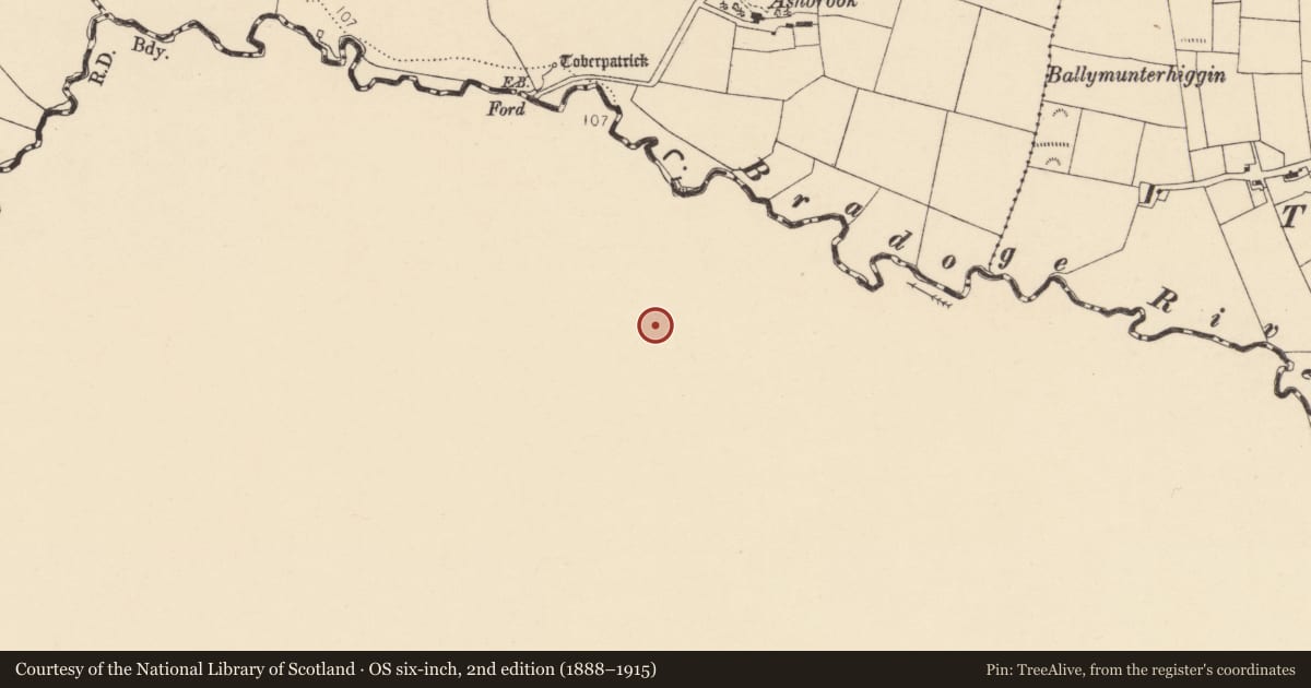 Ordnance Survey six-inch map, 2nd edition (1888–1915) covering the location of Ringfort - rath, Boyannagh, County Leitrim, with a pin at the register's coordinates