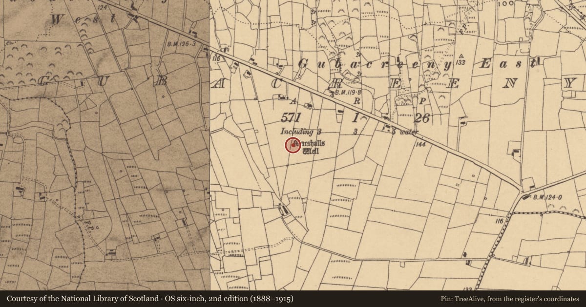 Ordnance Survey six-inch map, 2nd edition (1888–1915) covering the location of Ritual site - holy well, Gubacreeny, County Leitrim, with a pin at the register's coordinates