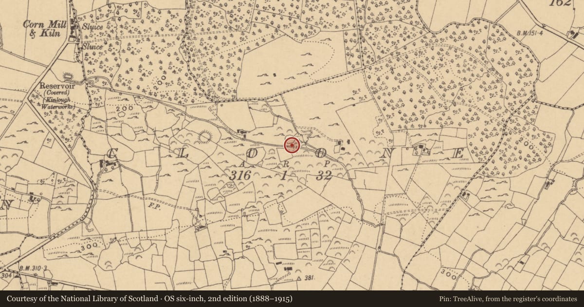 Ordnance Survey six-inch map, 2nd edition (1888–1915) covering the location of Ringfort - cashel, Cloone, County Leitrim, with a pin at the register's coordinates