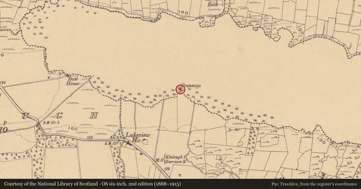 Ordnance Survey six-inch map, 2nd edition (1888–1915) covering the location of Crannog, Lough Melvin, County Leitrim, with a pin at the register's coordinates