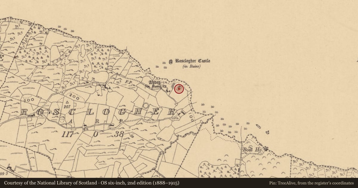 Ordnance Survey six-inch map, 2nd edition (1888–1915) covering the location of Moated site, Rosclogher, County Leitrim, with a pin at the register's coordinates