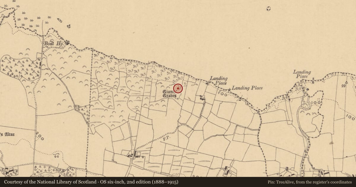 Ordnance Survey six-inch map, 2nd edition (1888–1915) covering the location of Bullaun stone, Aghaderrard East, County Leitrim, with a pin at the register's coordinates