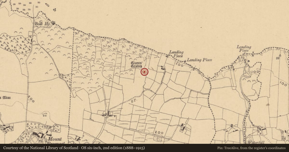Ordnance Survey six-inch map, 2nd edition (1888–1915) covering the location of Megalithic tomb - court tomb, Aghaderrard East, County Leitrim, with a pin at the register's coordinates