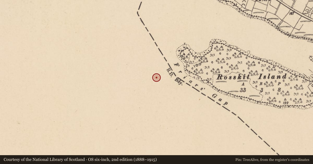 Ordnance Survey six-inch map, 2nd edition (1888–1915) covering the location of Cross-slab, Inishkeen Island, County Leitrim, with a pin at the register's coordinates