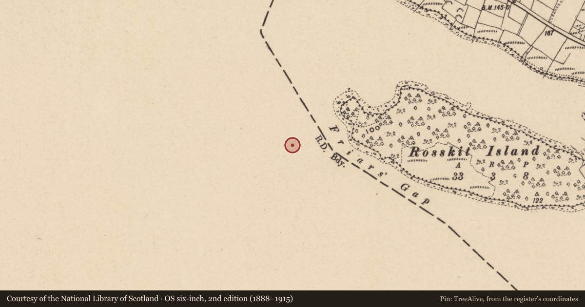 Ordnance Survey six-inch map, 2nd edition (1888–1915) covering the location of Metalworking site, Inishkeen Island, County Leitrim, with a pin at the register's coordinates
