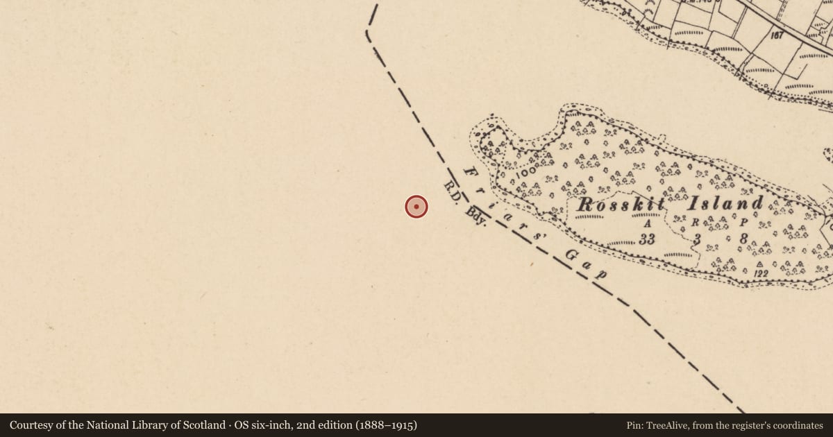 Ordnance Survey six-inch map, 2nd edition (1888–1915) covering the location of Cross-slab, Inishkeen Island, County Leitrim, with a pin at the register's coordinates
