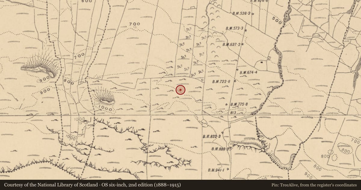 Ordnance Survey six-inch map, 2nd edition (1888–1915) covering the location of Field system, Gorteendarragh, County Leitrim, with a pin at the register's coordinates