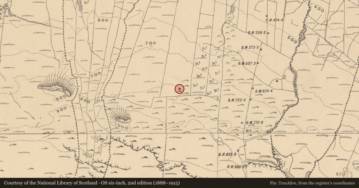 Ordnance Survey six-inch map, 2nd edition (1888–1915) covering the location of Enclosure, Gorteendarragh, County Leitrim, with a pin at the register's coordinates