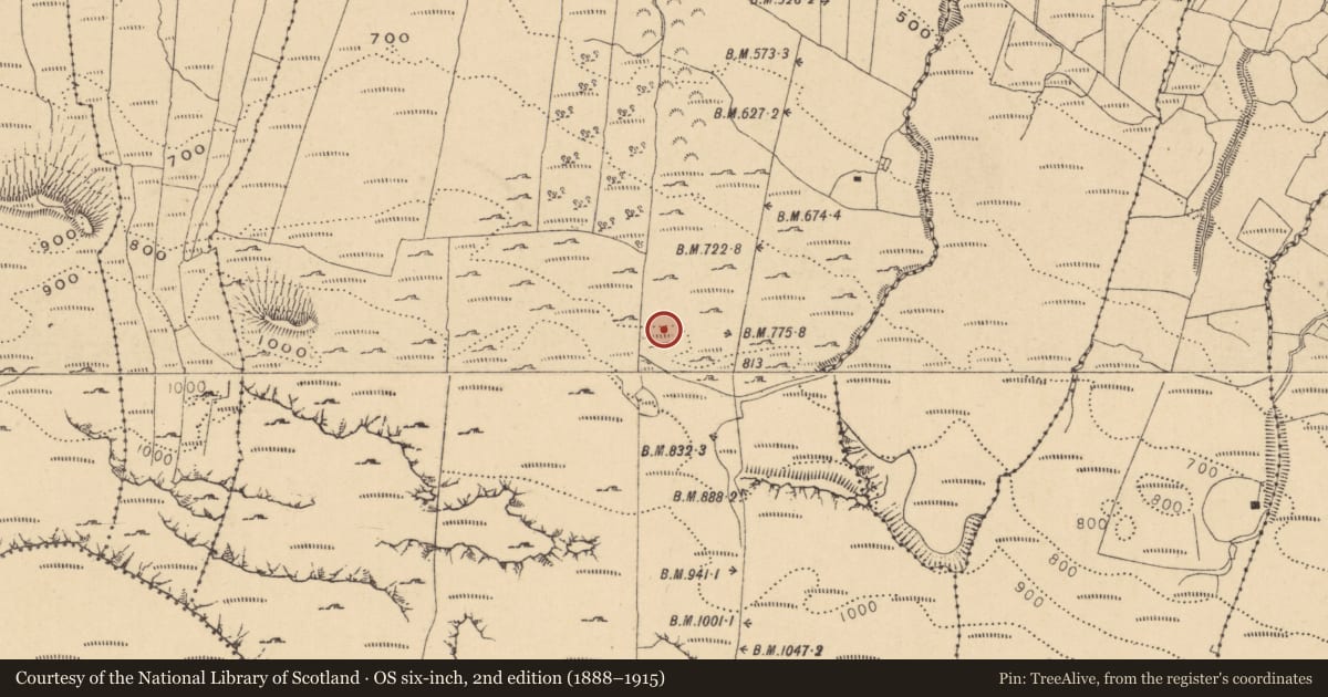 Ordnance Survey six-inch map, 2nd edition (1888–1915) covering the location of Hut site, Gorteendarragh, County Leitrim, with a pin at the register's coordinates