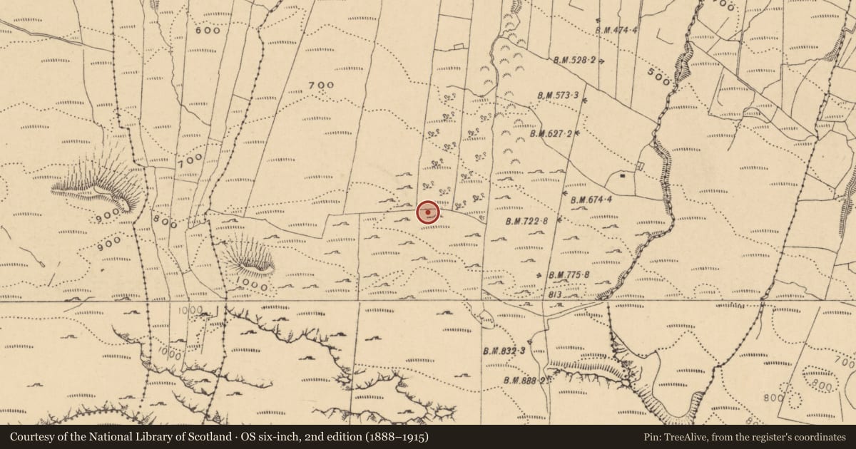Ordnance Survey six-inch map, 2nd edition (1888–1915) covering the location of Hut site, Gorteendarragh, County Leitrim, with a pin at the register's coordinates