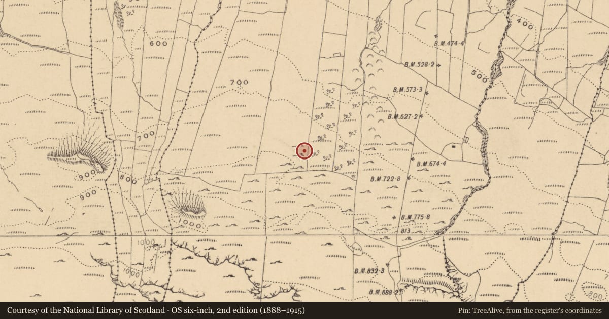 Ordnance Survey six-inch map, 2nd edition (1888–1915) covering the location of Hut site, Gorteendarragh, County Leitrim, with a pin at the register's coordinates