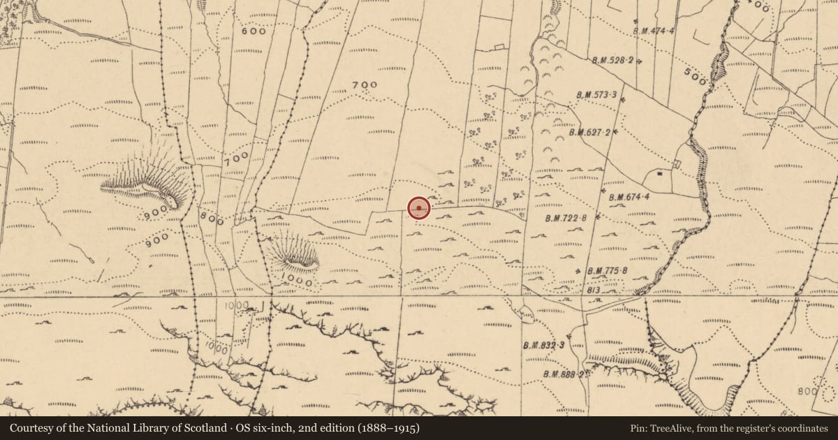 Ordnance Survey six-inch map, 2nd edition (1888–1915) covering the location of Hut site, Gorteendarragh, County Leitrim, with a pin at the register's coordinates