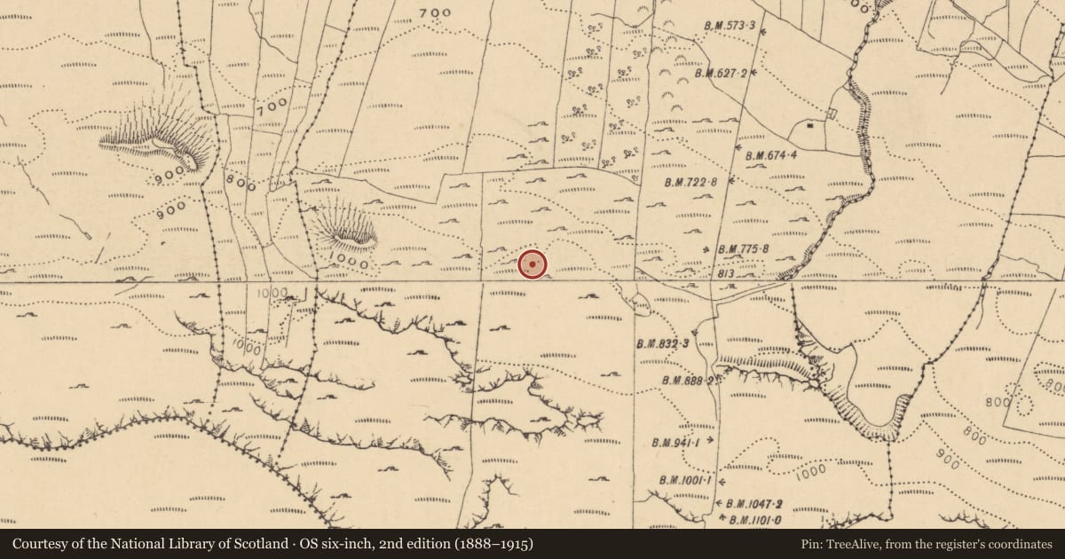 Ordnance Survey six-inch map, 2nd edition (1888–1915) covering the location of Hut site, Gorteendarragh, County Leitrim, with a pin at the register's coordinates