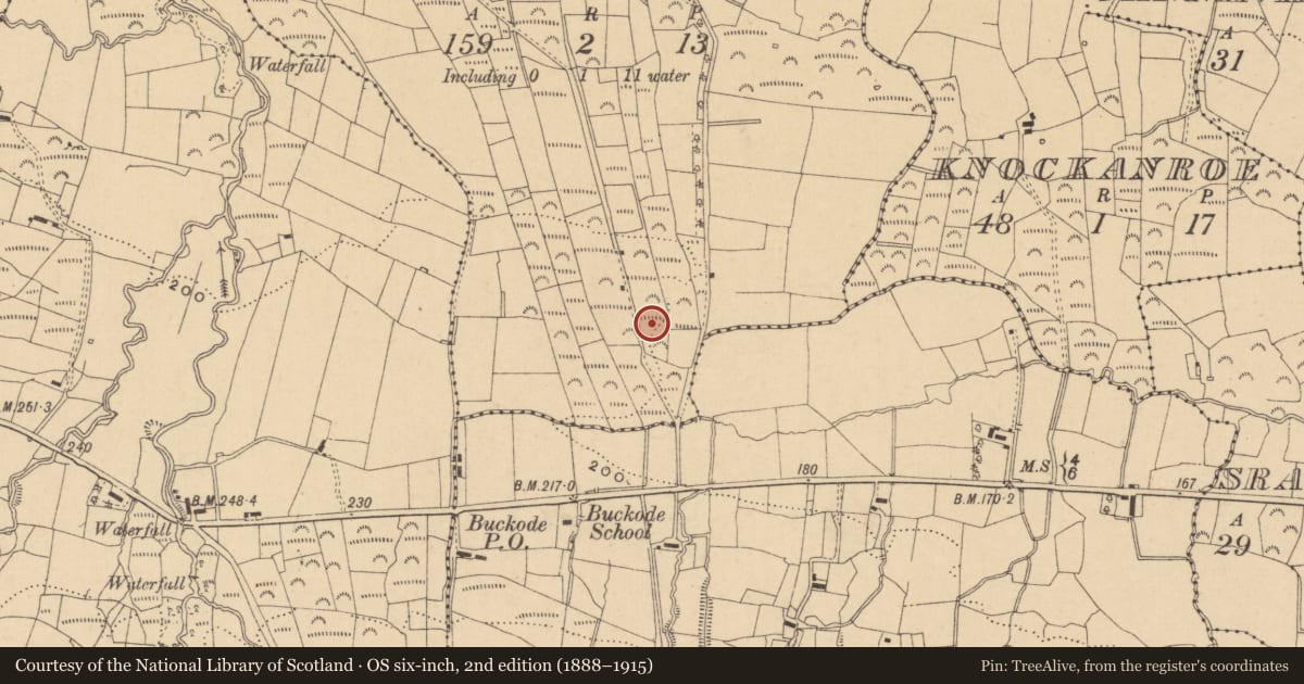 Ordnance Survey six-inch map, 2nd edition (1888–1915) covering the location of Ringfort - cashel, Sracummer, County Leitrim, with a pin at the register's coordinates