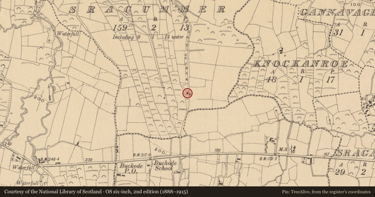 Ordnance Survey six-inch map, 2nd edition (1888–1915) covering the location of Mass-rock, Sracummer, County Leitrim, with a pin at the register's coordinates