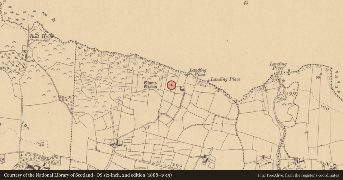 Ordnance Survey six-inch map, 2nd edition (1888–1915) covering the location of House - indeterminate date, Aghaderrard East, County Leitrim, with a pin at the register's coordinates