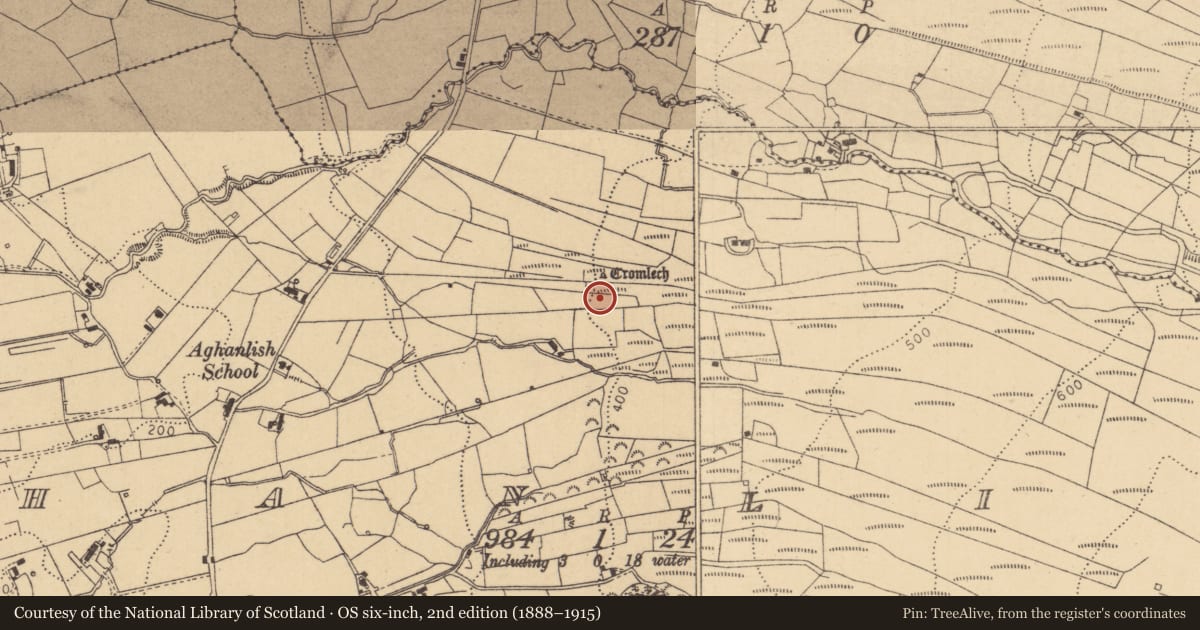 Ordnance Survey six-inch map, 2nd edition (1888–1915) covering the location of Field boundary, Aghanlish, County Leitrim, with a pin at the register's coordinates
