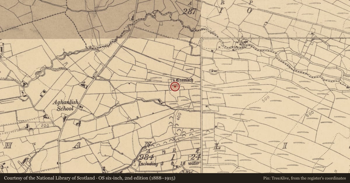 Ordnance Survey six-inch map, 2nd edition (1888–1915) covering the location of Standing stone - pair, Aghanlish, County Leitrim, with a pin at the register's coordinates