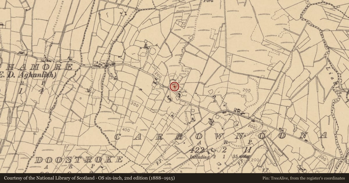 Ordnance Survey six-inch map, 2nd edition (1888–1915) covering the location of Ringfort - cashel, Carrownoona, County Leitrim, with a pin at the register's coordinates